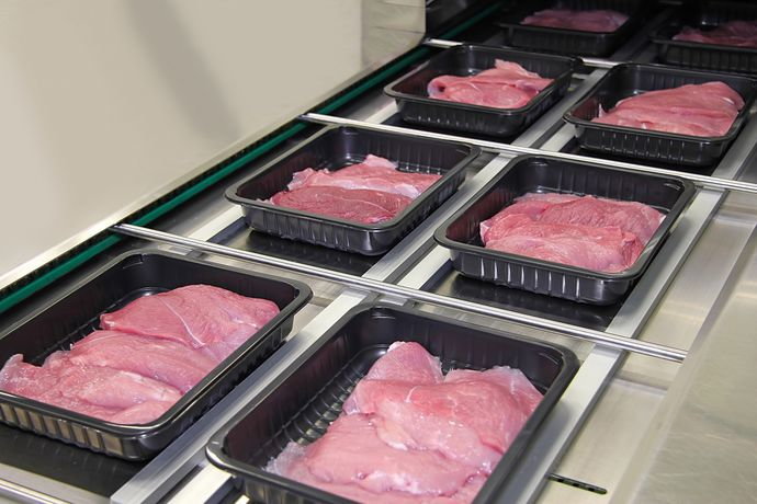 Keimreduktion und Deisnfektion von Fleischproduckten/Fleischerzeugnissen. Sichere Lebensmittelproduktion