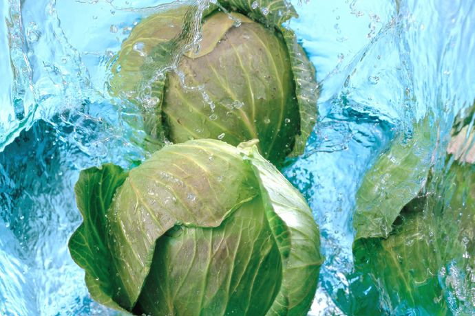 desinfektion_beim_waschen_von_lebensmitteln.jpg Desinfektion in der Lebensmittelindustire. Desinfektion von Gemüse, Anlagen und Verpackungen.
